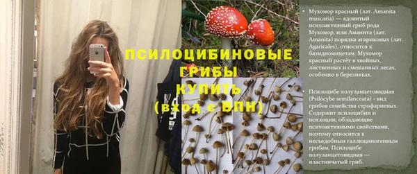 амф Абаза