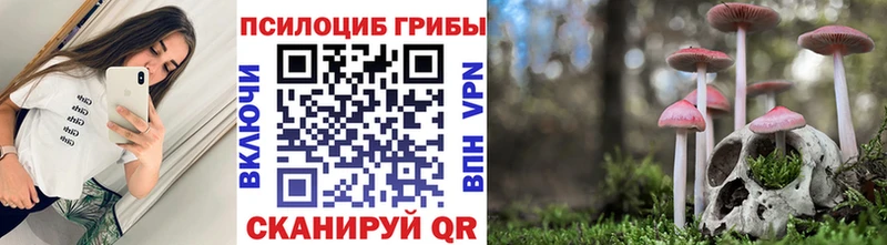 Галлюциногенные грибы Psilocybe  Каменск-Шахтинский 